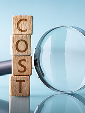How much does a DISC assessment cost?