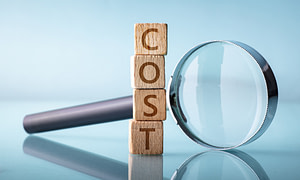 How much does a DISC assessment cost?