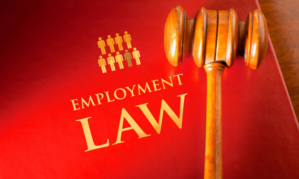 what-is-employment-law